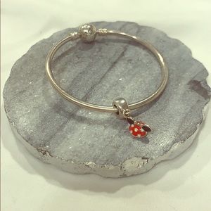 Minnie park exclusive charm